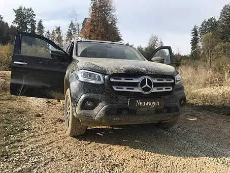 Bug-And-Tar-Removal--in-Kings-Canyon-National-Pk-California-bug-and-tar-removal-kings-canyon-national-pk-california.jpg-image