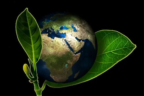 Eco-Friendly-Hand-Wash--in-Dunlap-California-eco-friendly-hand-wash-dunlap-california.jpg-image