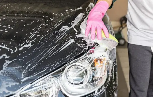 Tar-Bug-And-Tree-Sap-Removal--in-Armona-California-tar-bug-and-tree-sap-removal-armona-california.jpg-image